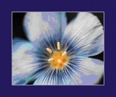 nausea&vomiting from opioids image healthtips images